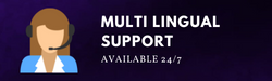 Multilingual Customer Support